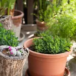 公寓 Timeless Barn *