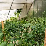 Timeless Barn 公寓 *