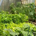 公寓 Timeless Barn *