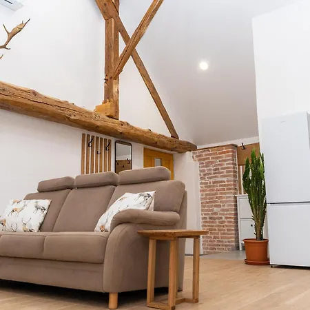 Timeless Barn شقة ليوبليانا